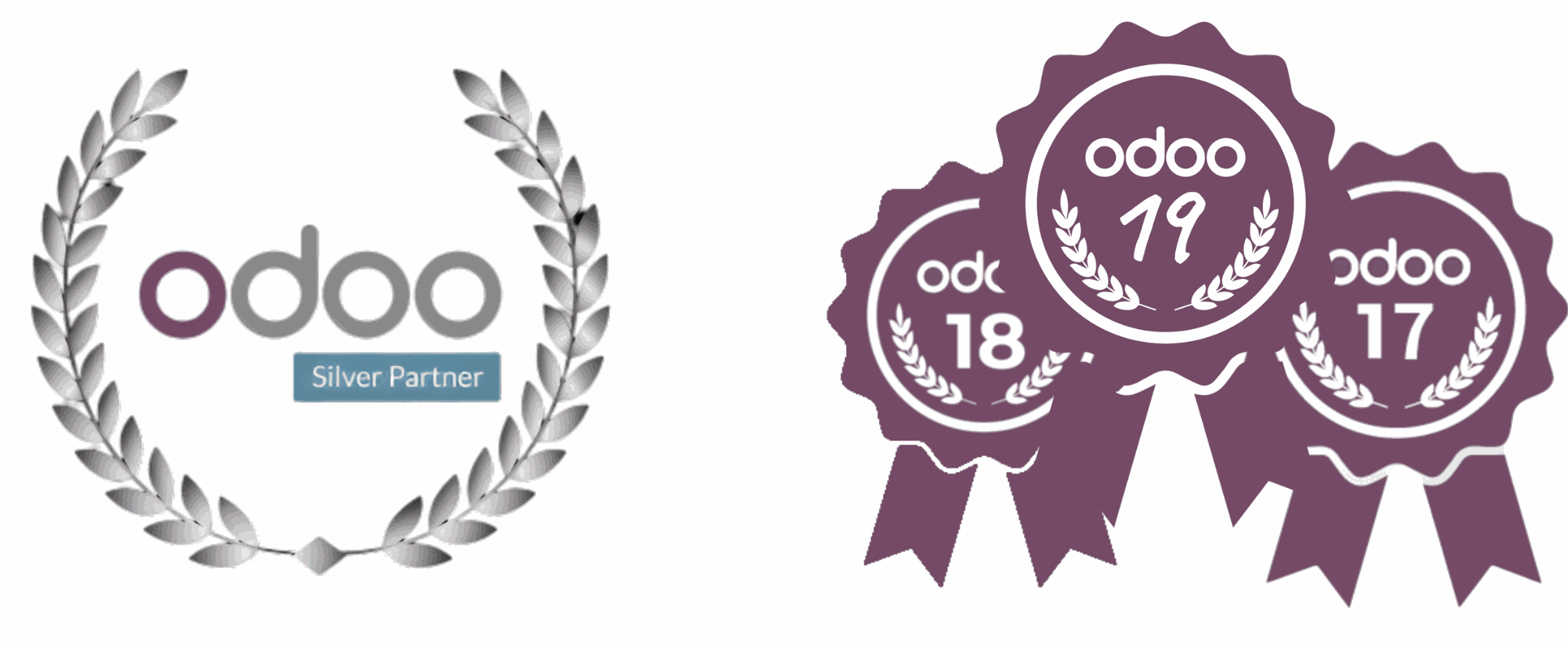 Odoo • Image and Text