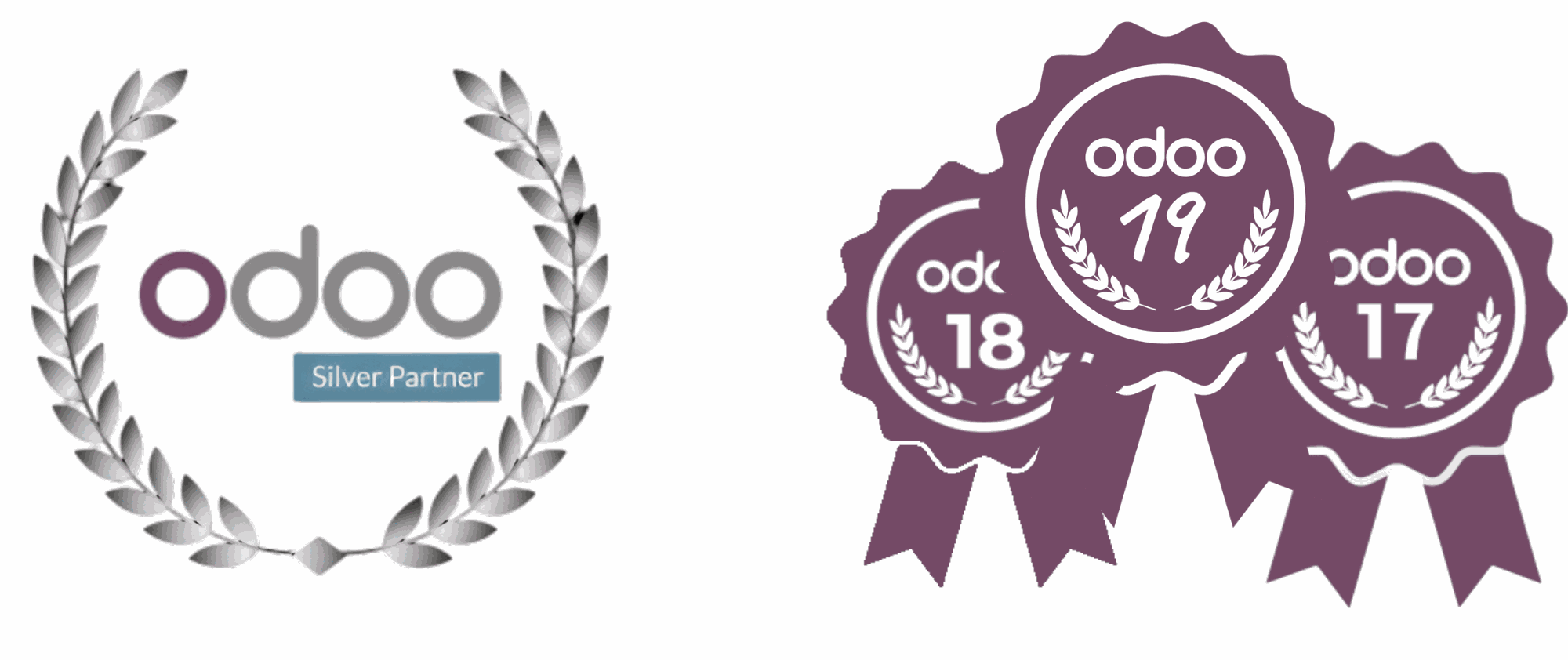 Odoo • Image and Text